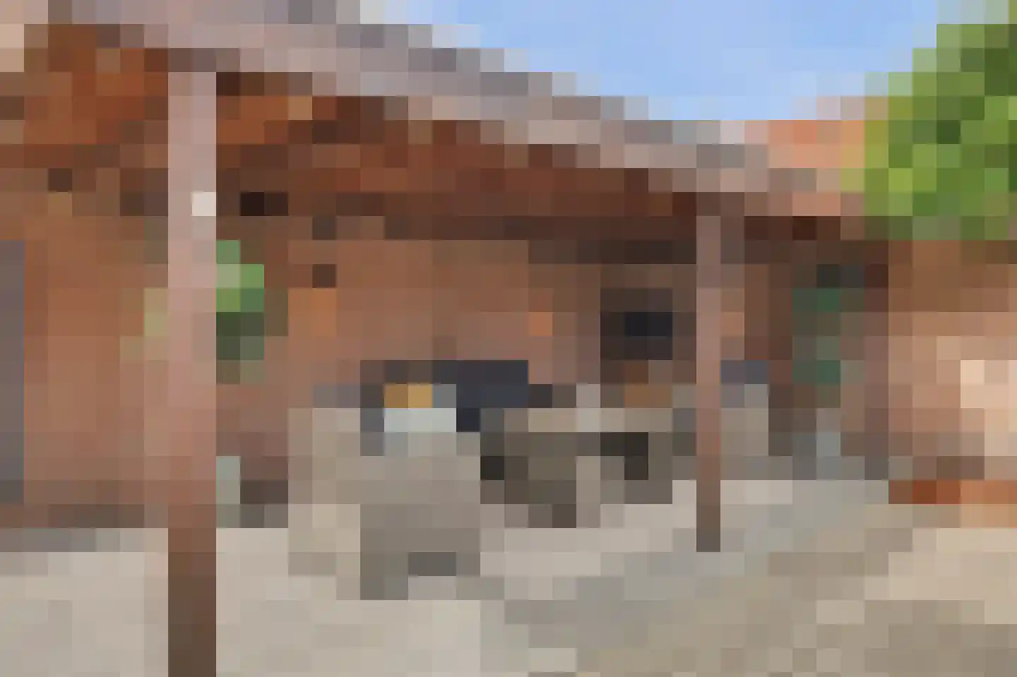 De Vang 8 Hapert thumbnail 27