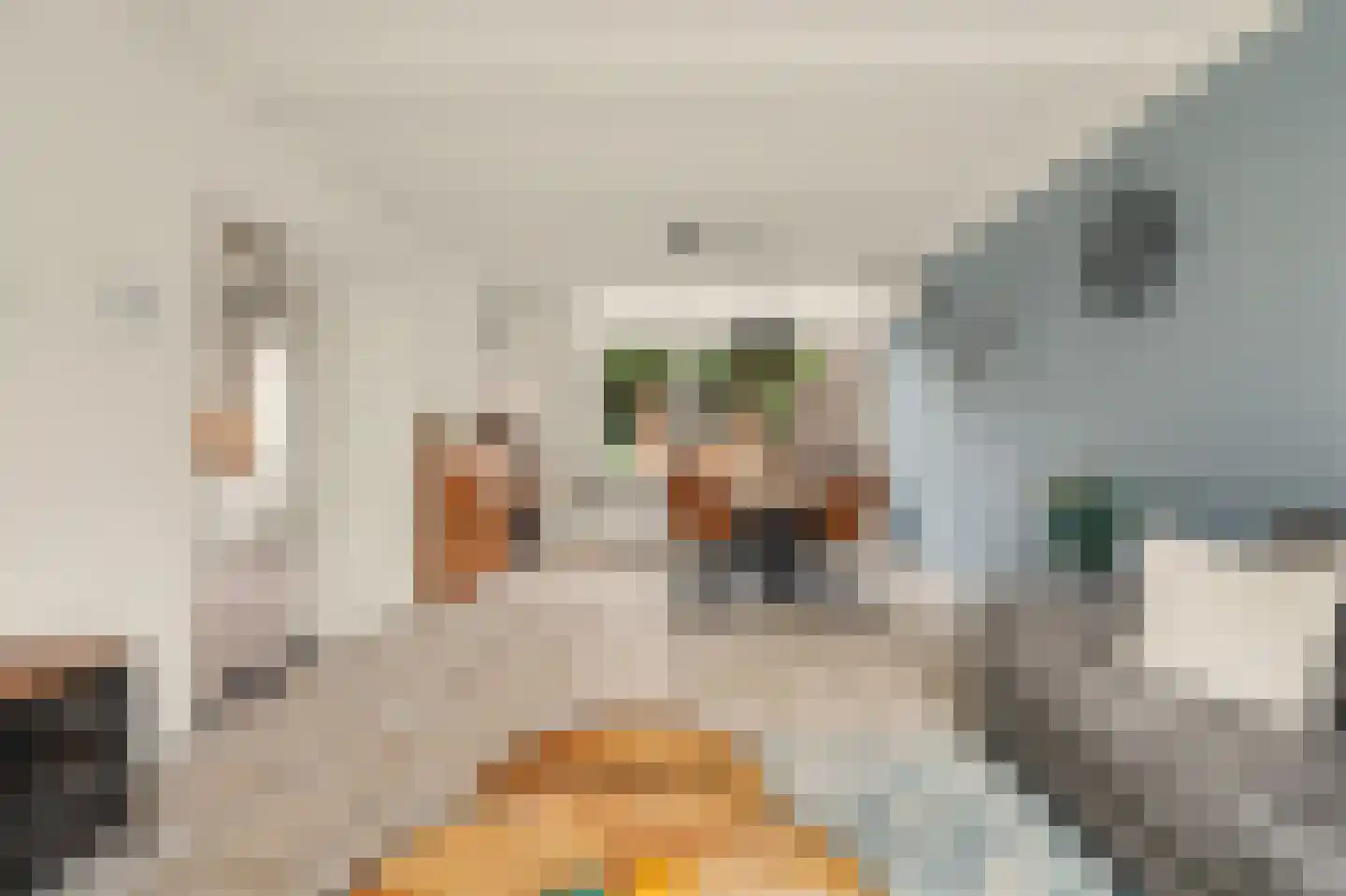 De Vang 8 Hapert thumbnail 5
