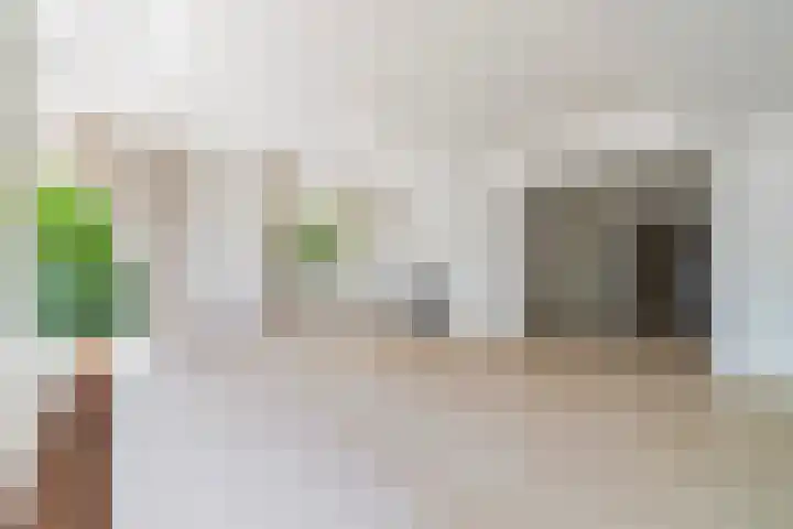 De Vang 9 Leidschendam thumbnail 13