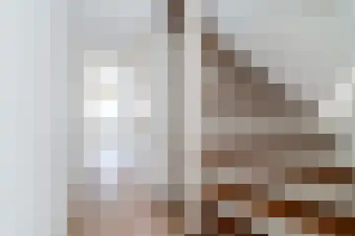 De Vang 9 Leidschendam thumbnail 17