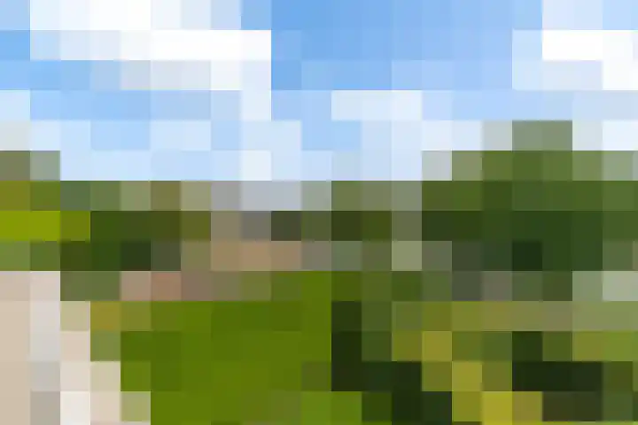 De Vang 9 Leidschendam thumbnail 26