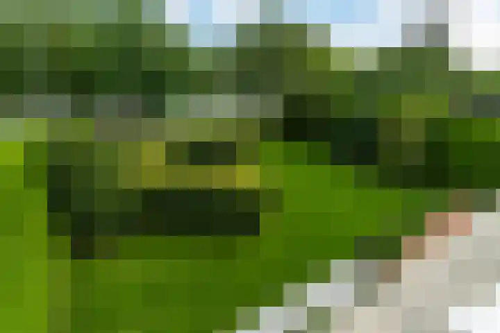 De Vang 9 Leidschendam thumbnail 27
