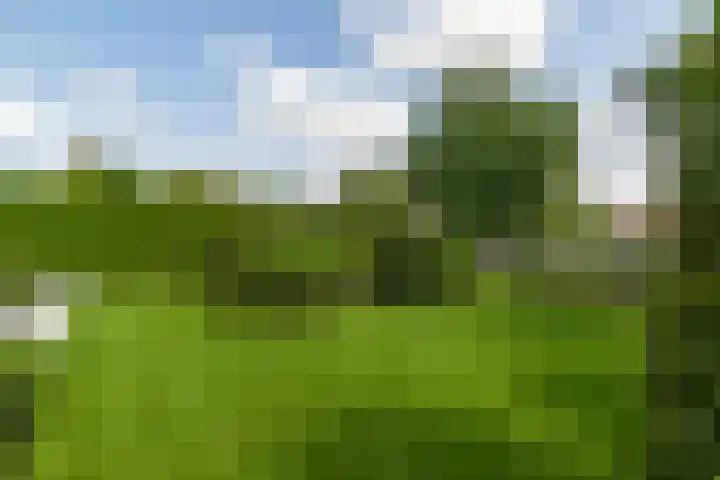 De Vang 9 Leidschendam thumbnail 34