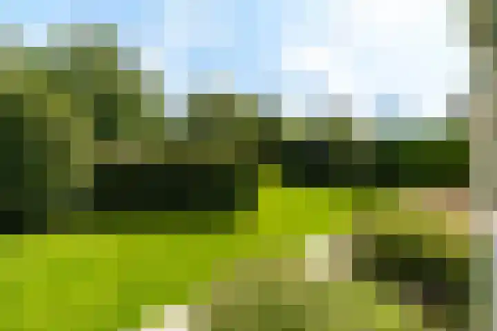 De Vang 9 Leidschendam thumbnail 36