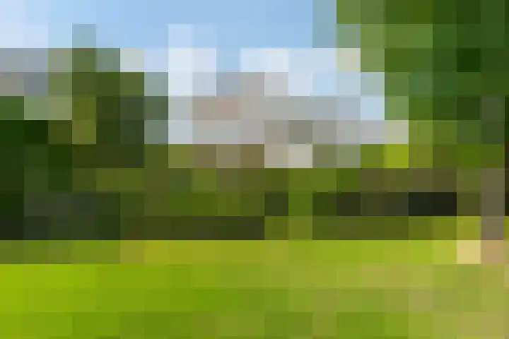 De Vang 9 Leidschendam thumbnail 4