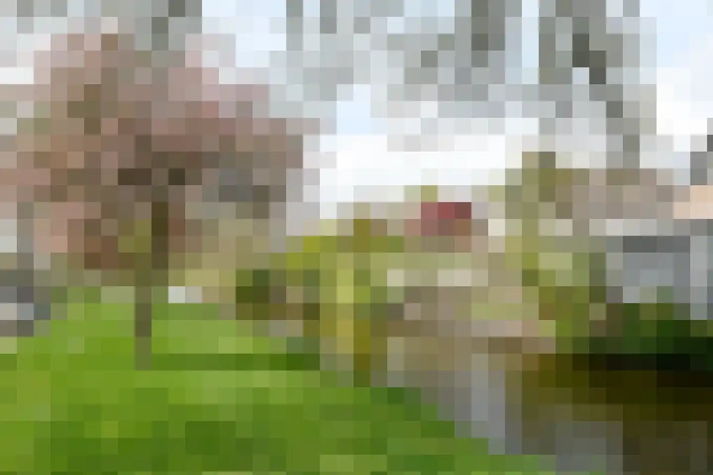 De Vang 9 Mijdrecht thumbnail 24