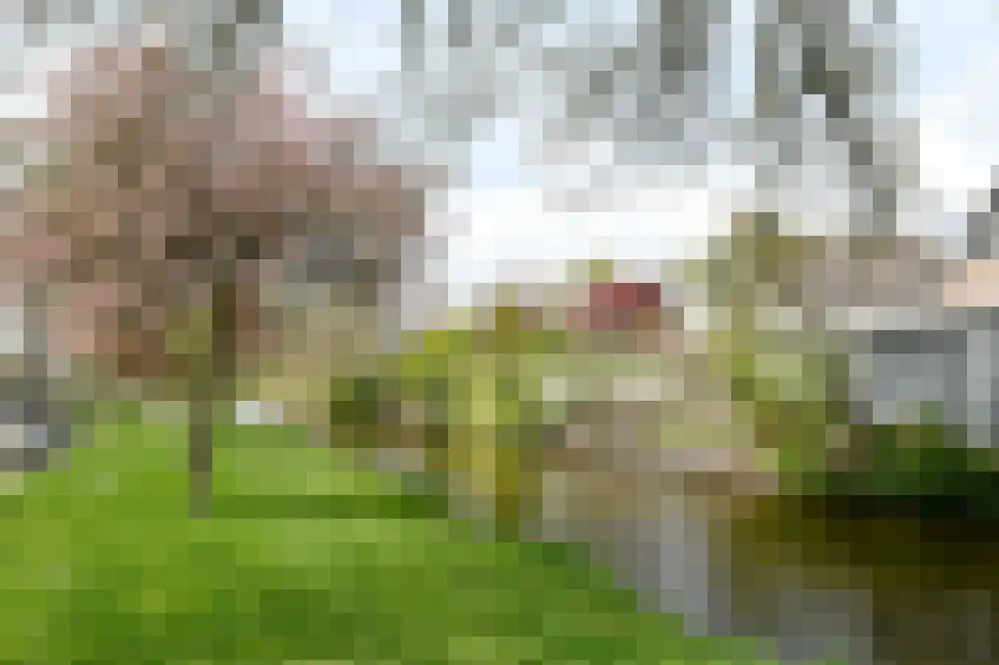 De Vang 9 Mijdrecht thumbnail 26