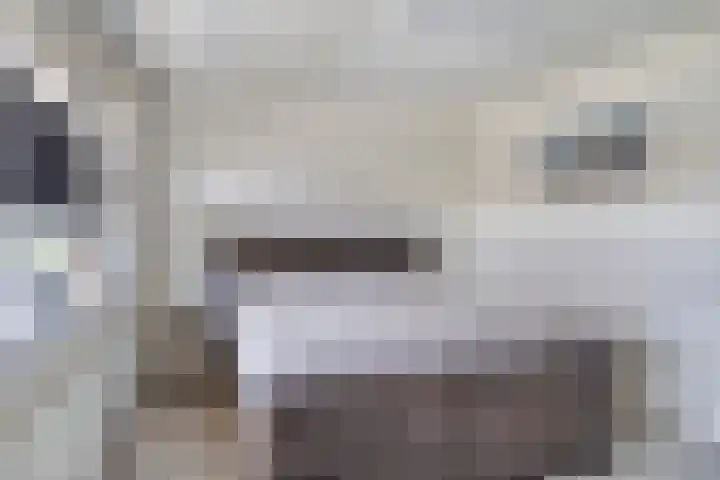 De Varentuin 20 Zutphen thumbnail 16