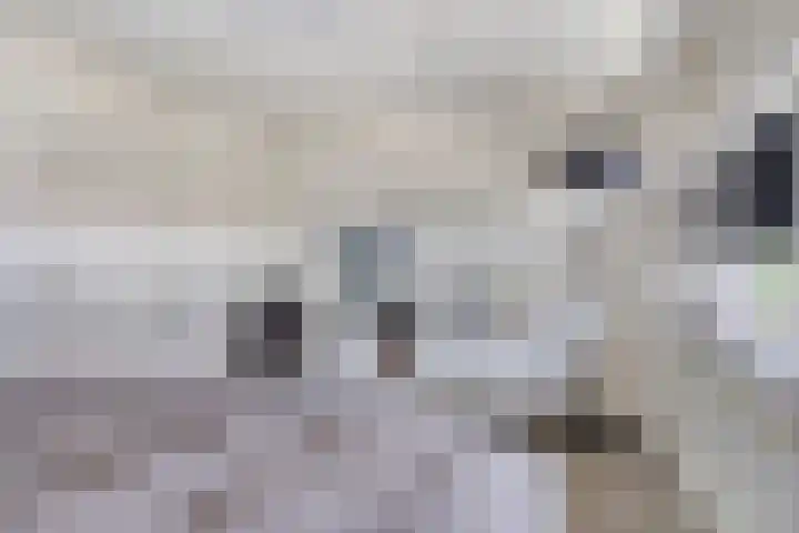 De Varentuin 20 Zutphen thumbnail 17