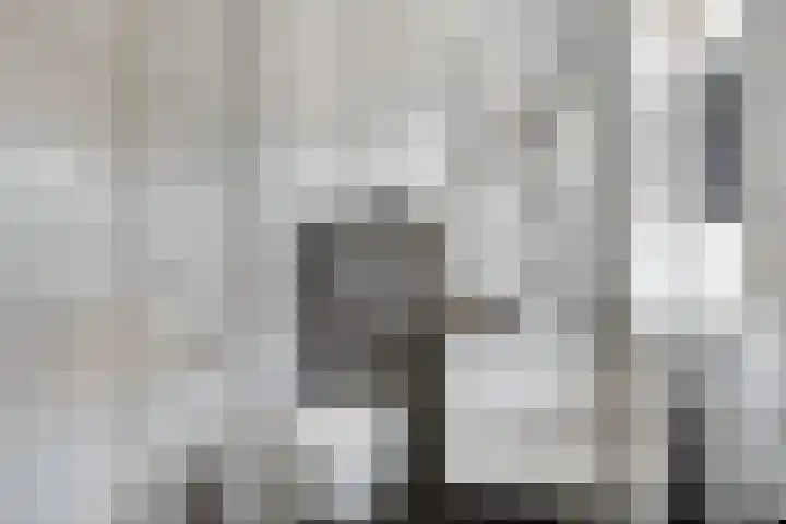 De Varentuin 20 Zutphen thumbnail 18