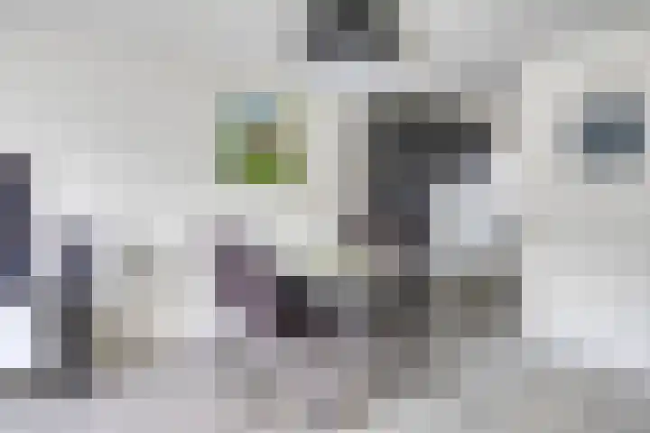 De Varentuin 20 Zutphen thumbnail 8