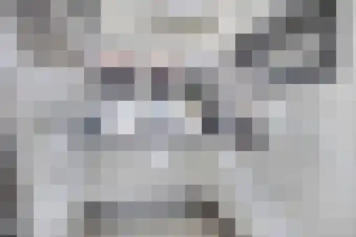 De Varentuin 20 Zutphen thumbnail 9