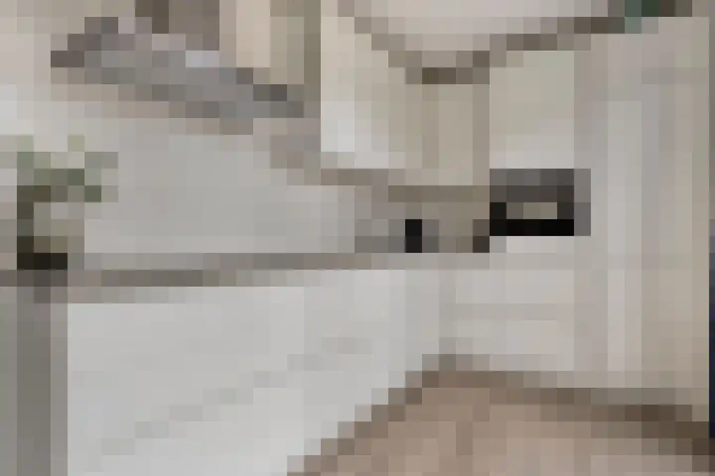 De Vechthorst 2 Hardenberg thumbnail 23