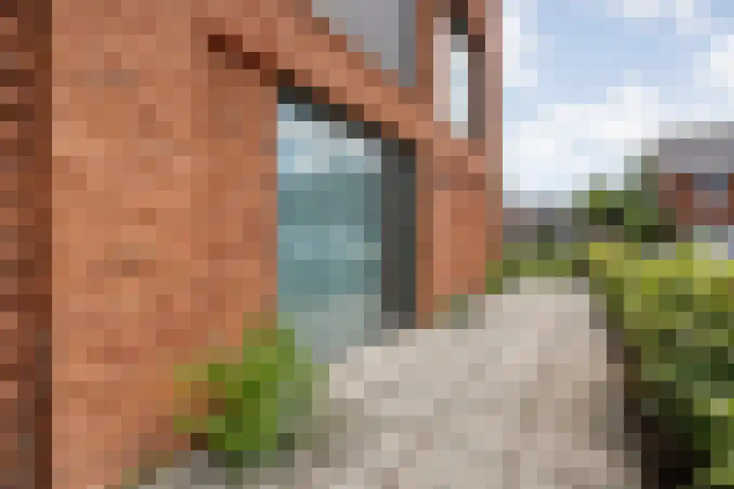 De Vechthorst 2 Hardenberg thumbnail 32