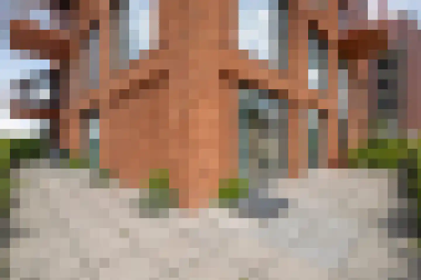 De Vechthorst 2 Hardenberg thumbnail 34