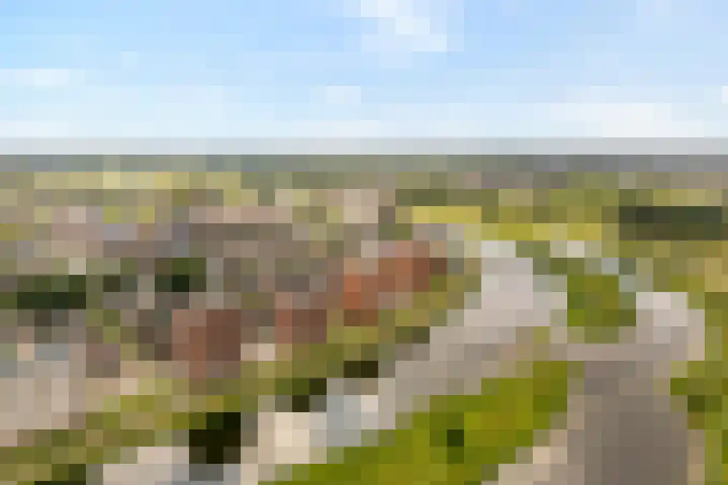 De Vechthorst 2 Hardenberg thumbnail 4