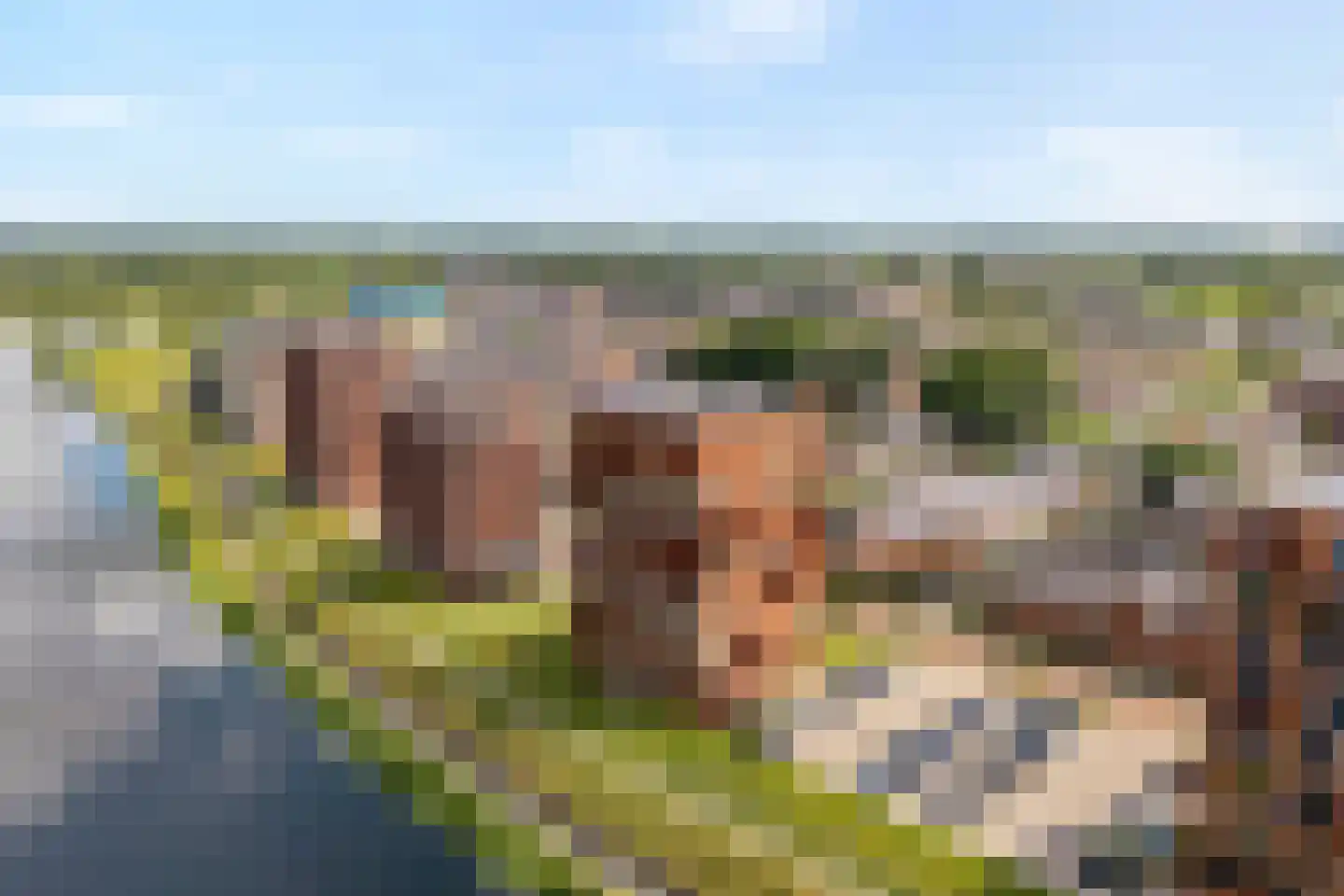 De Vechthorst 2 Hardenberg thumbnail 6