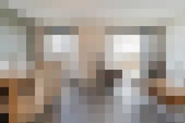De Vechthorst 3 Hardenberg thumbnail 16