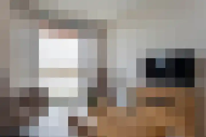 De Vechthorst 3 Hardenberg thumbnail 17