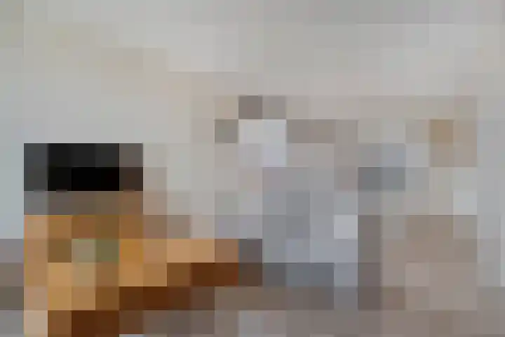 De Vechthorst 3 Hardenberg thumbnail 18
