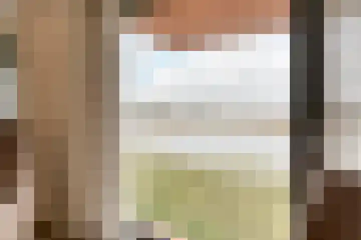 De Vechthorst 3 Hardenberg thumbnail 20
