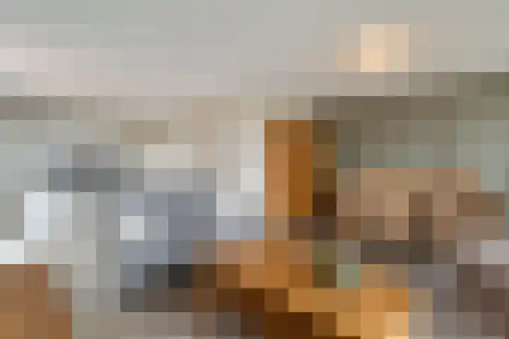 De Vechthorst 3 Hardenberg thumbnail 21