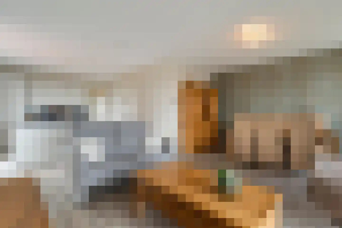De Vechthorst 3 Hardenberg thumbnail 21