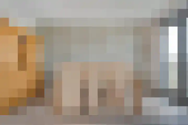 De Vechthorst 3 Hardenberg thumbnail 22