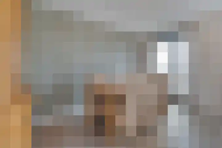 De Vechthorst 3 Hardenberg thumbnail 23