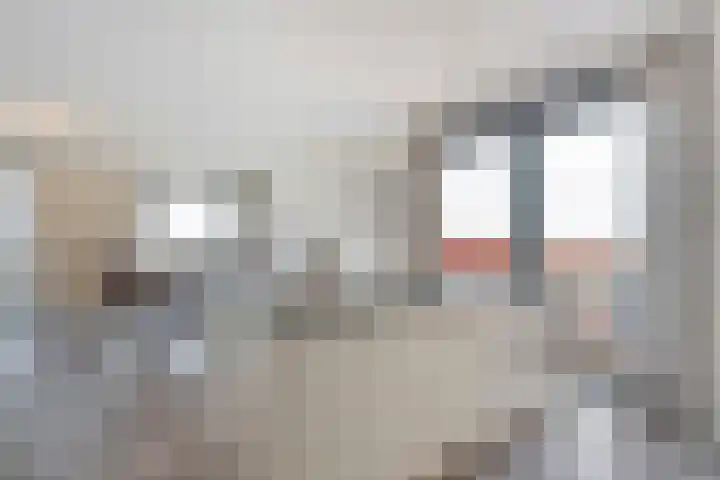 De Vechthorst 3 Hardenberg thumbnail 24