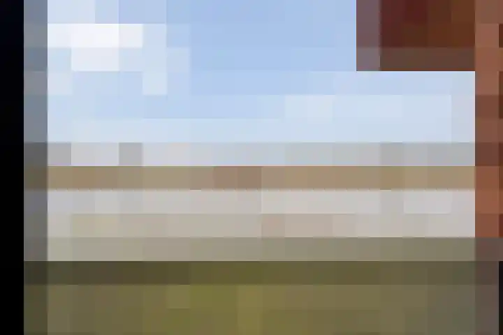 De Vechthorst 3 Hardenberg thumbnail 30