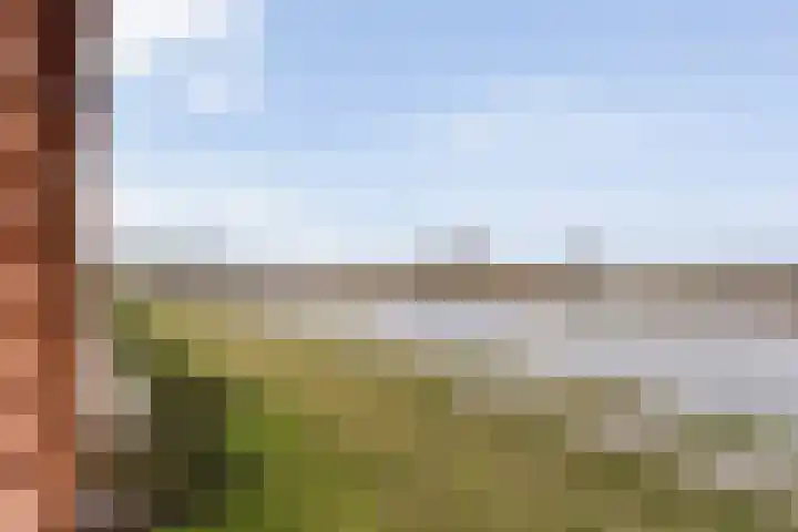 De Vechthorst 3 Hardenberg thumbnail 31