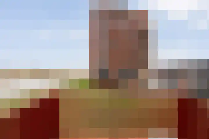 De Vechthorst 3 Hardenberg thumbnail 32