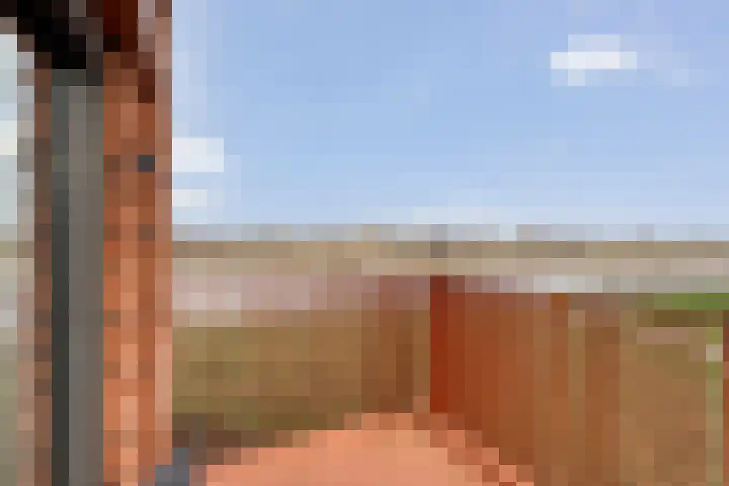 De Vechthorst 3 Hardenberg thumbnail 33