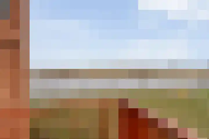 De Vechthorst 3 Hardenberg thumbnail 34