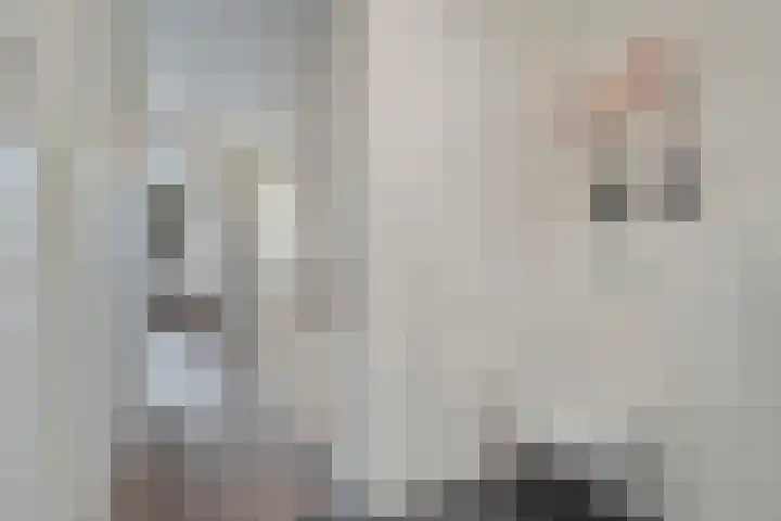 De Vechthorst 3 Hardenberg thumbnail 40