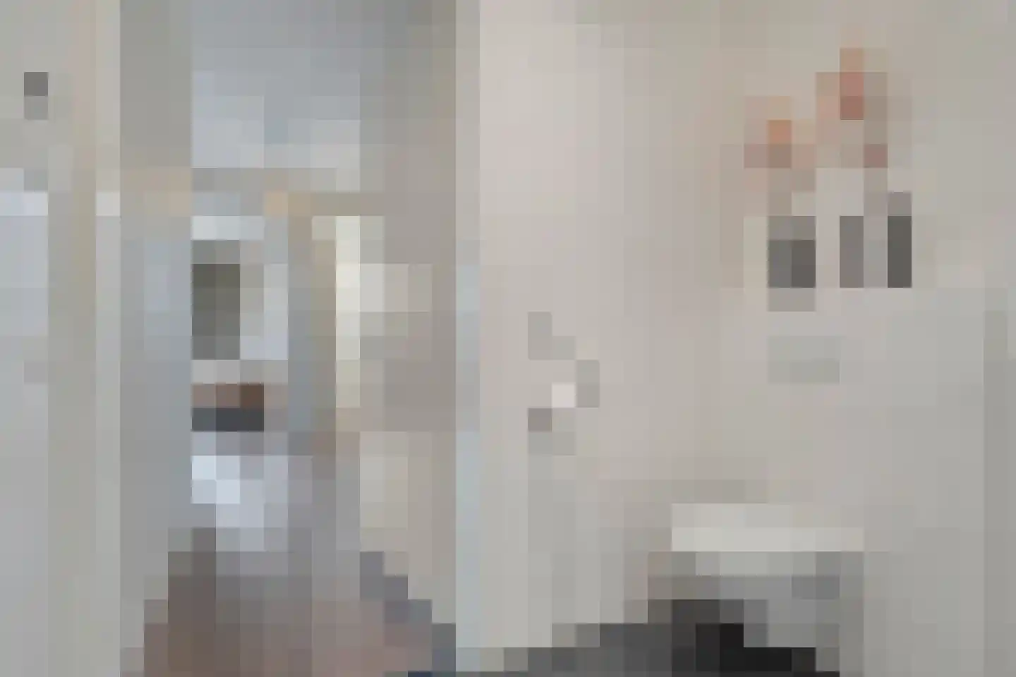 De Vechthorst 3 Hardenberg thumbnail 40