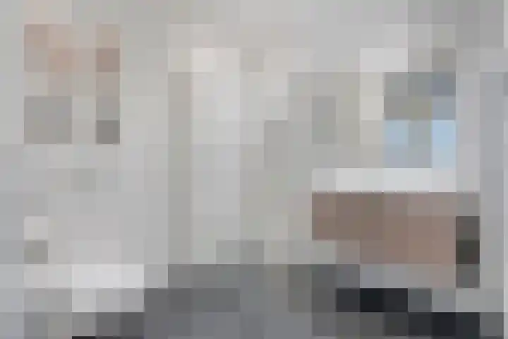 De Vechthorst 3 Hardenberg thumbnail 41