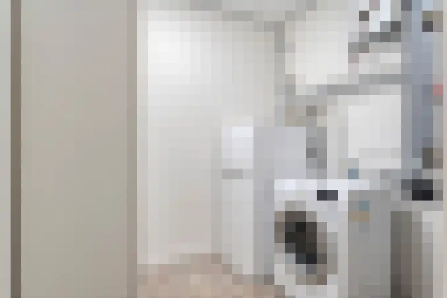 De Vechthorst 3 Hardenberg thumbnail 44