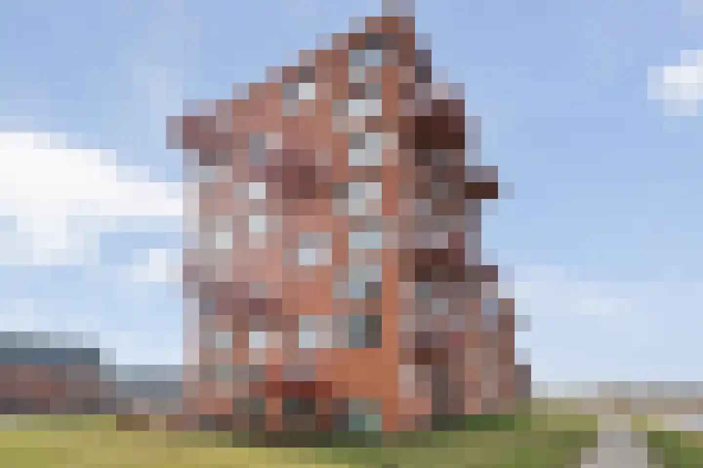 De Vechthorst 3 Hardenberg thumbnail 50