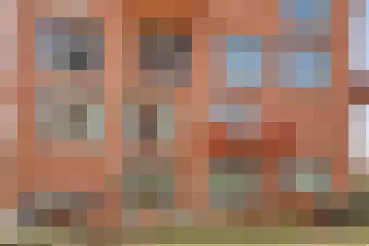De Vechthorst 3 Hardenberg thumbnail 52