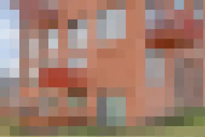 De Vechthorst 3 Hardenberg thumbnail 53