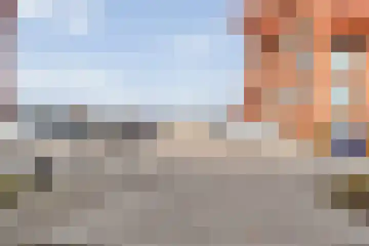 De Vechthorst 3 Hardenberg thumbnail 54