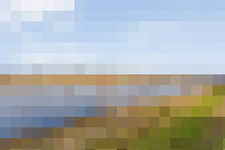 De Vechthorst 3 Hardenberg thumbnail 60