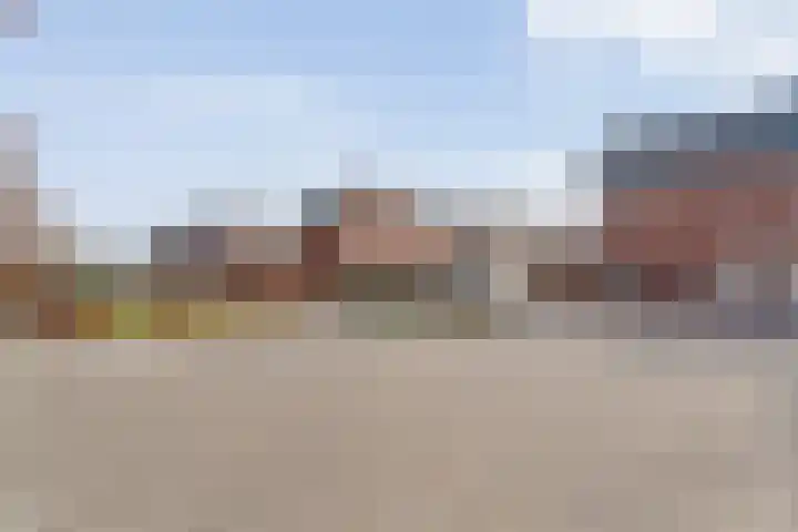 De Vechthorst 3 Hardenberg thumbnail 61