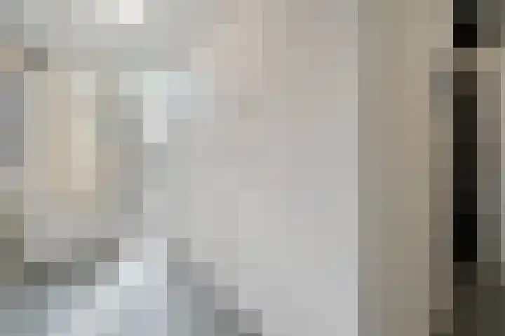 De Vechthorst 3 Hardenberg thumbnail 7
