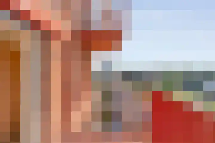 De Vechthorst 32 Hardenberg thumbnail 14
