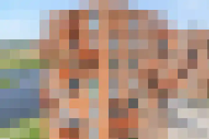 De Vechthorst 32 Hardenberg thumbnail 15