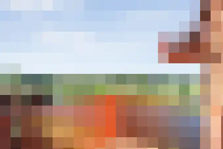 De Vechthorst 32 Hardenberg thumbnail 16