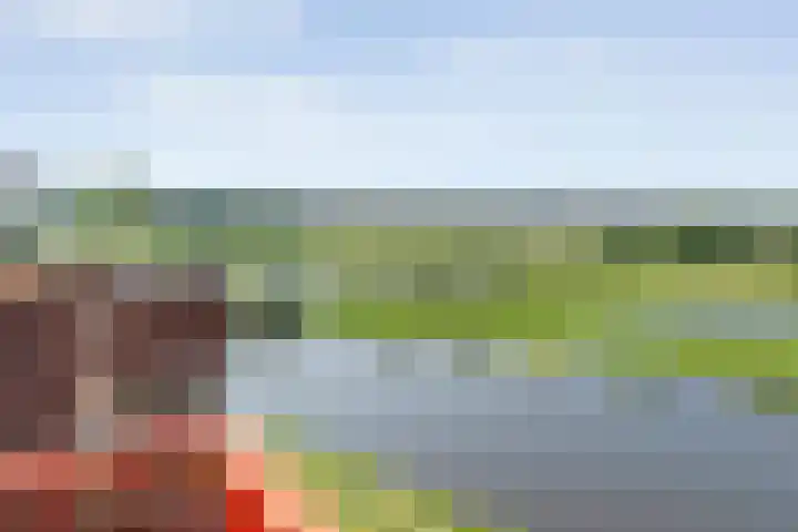 De Vechthorst 32 Hardenberg thumbnail 17